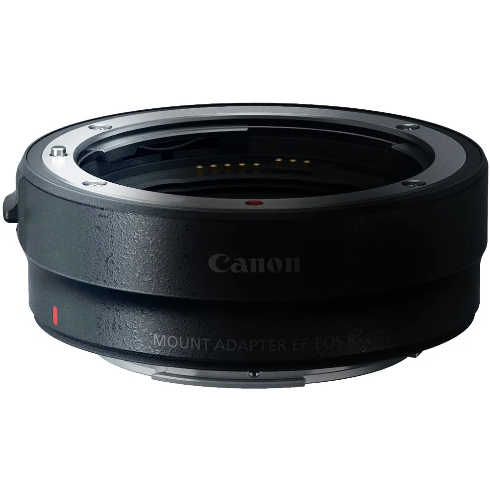 Canon EF-S 10-18mm f/4.5-5.6 IS STM Lens with EF to EOS R Adapter for Canon EOS R RP R3 R5 R6 R7 R10