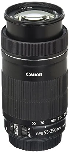 Canon EF-S 55-250mm f/4-5.6 IS STM Lens