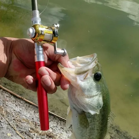 Micro Rod Fishing Pen