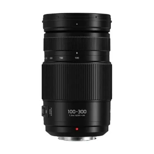 Panasonic 100-300mm f/4.0-5.6 II LUMIX G Vario Lens