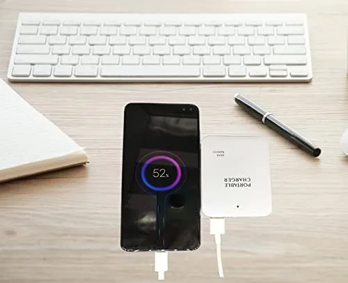 Portable AA Battery Travel Power Bank