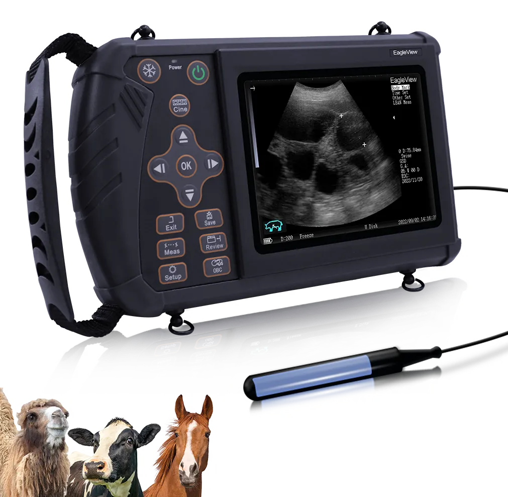 Portable Veterinary Ultrasound