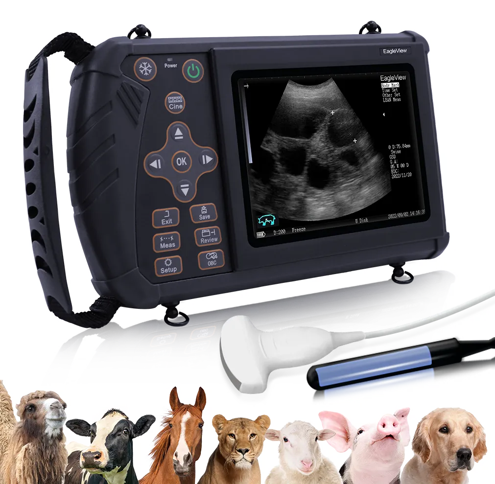 Portable Veterinary Ultrasound