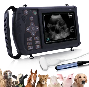 Portable Veterinary Ultrasound