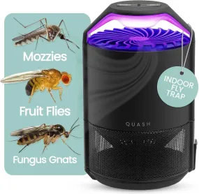 QUASH Indoor Fly Trap – Non-Zapper Mosquito & Bug Killer – Gnats, Fruit Flies, Moths, Mozzies, Midges, & Sandflies Catcher - Suction Fan - UV Bug Light - Sticky Glue Board (Black)