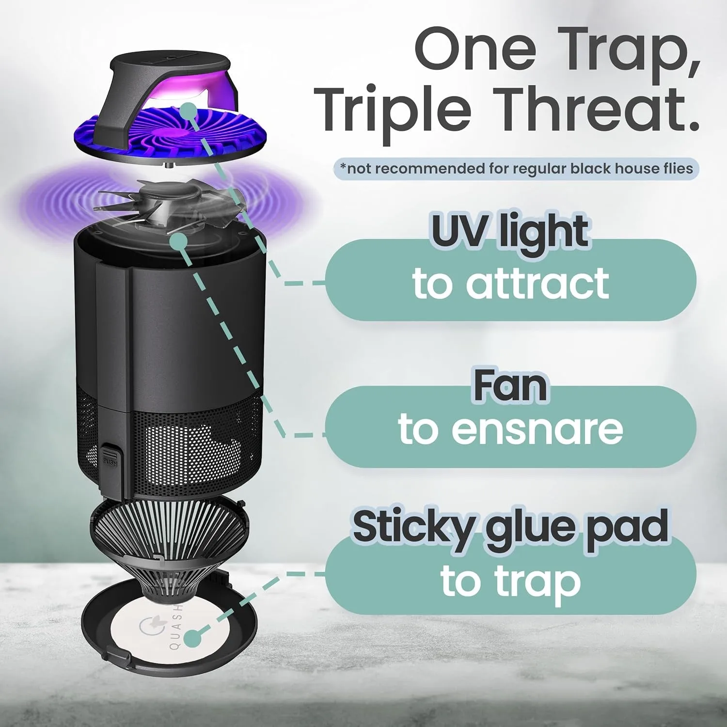 QUASH Indoor Fly Trap – Non-Zapper Mosquito & Bug Killer – Gnats, Fruit Flies, Moths, Mozzies, Midges, & Sandflies Catcher - Suction Fan - UV Bug Light - Sticky Glue Board (Black)