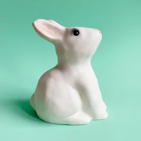 Rabbit Savings Bank