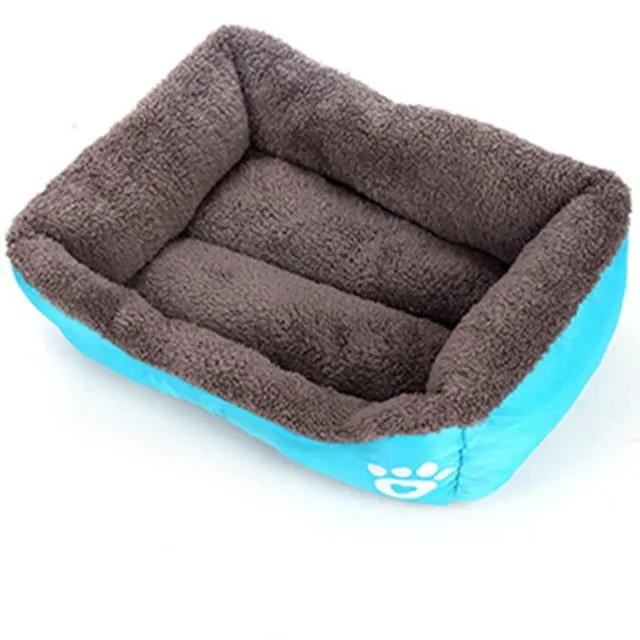 Rectangular Bed With Paw Design