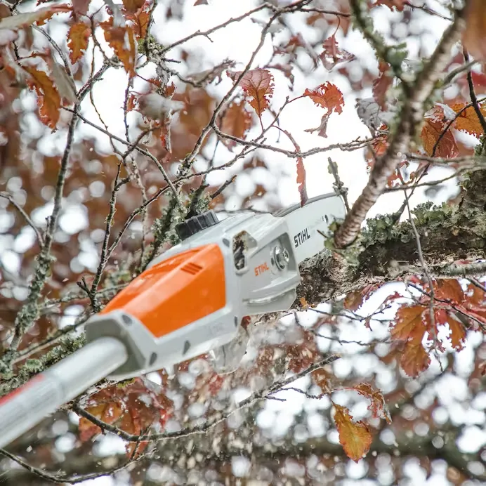 Stihl | HTA 50 Battery Pole Pruner | w/o battery & charger (LA02 011 6401 US)